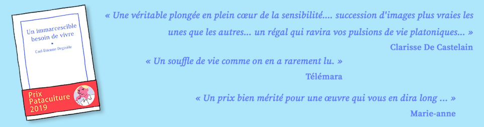 bannière publicitée agressive patashop