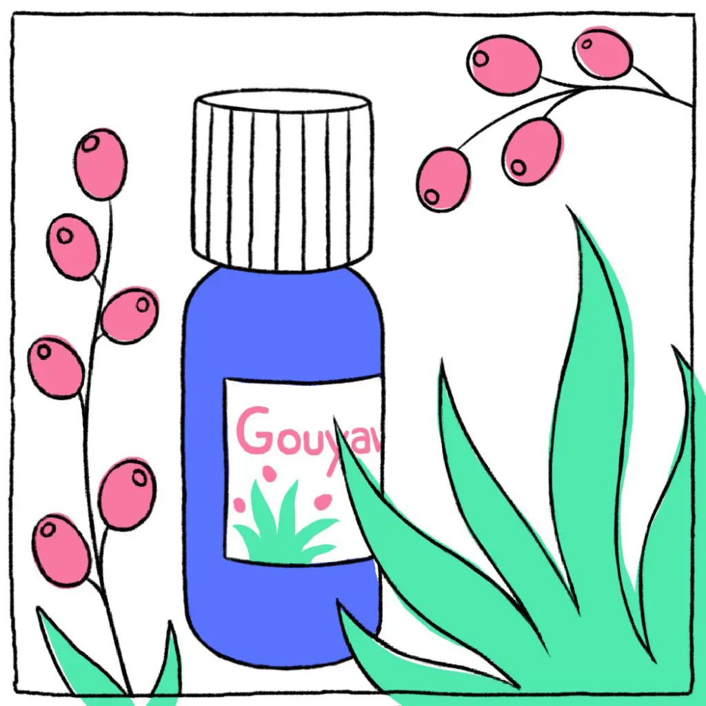 007_Gouyawi (1).webp