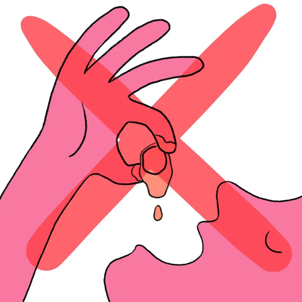 015_couvert (2).webp