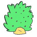 Balade en forêt low cost