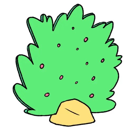 Balade en forêt low cost